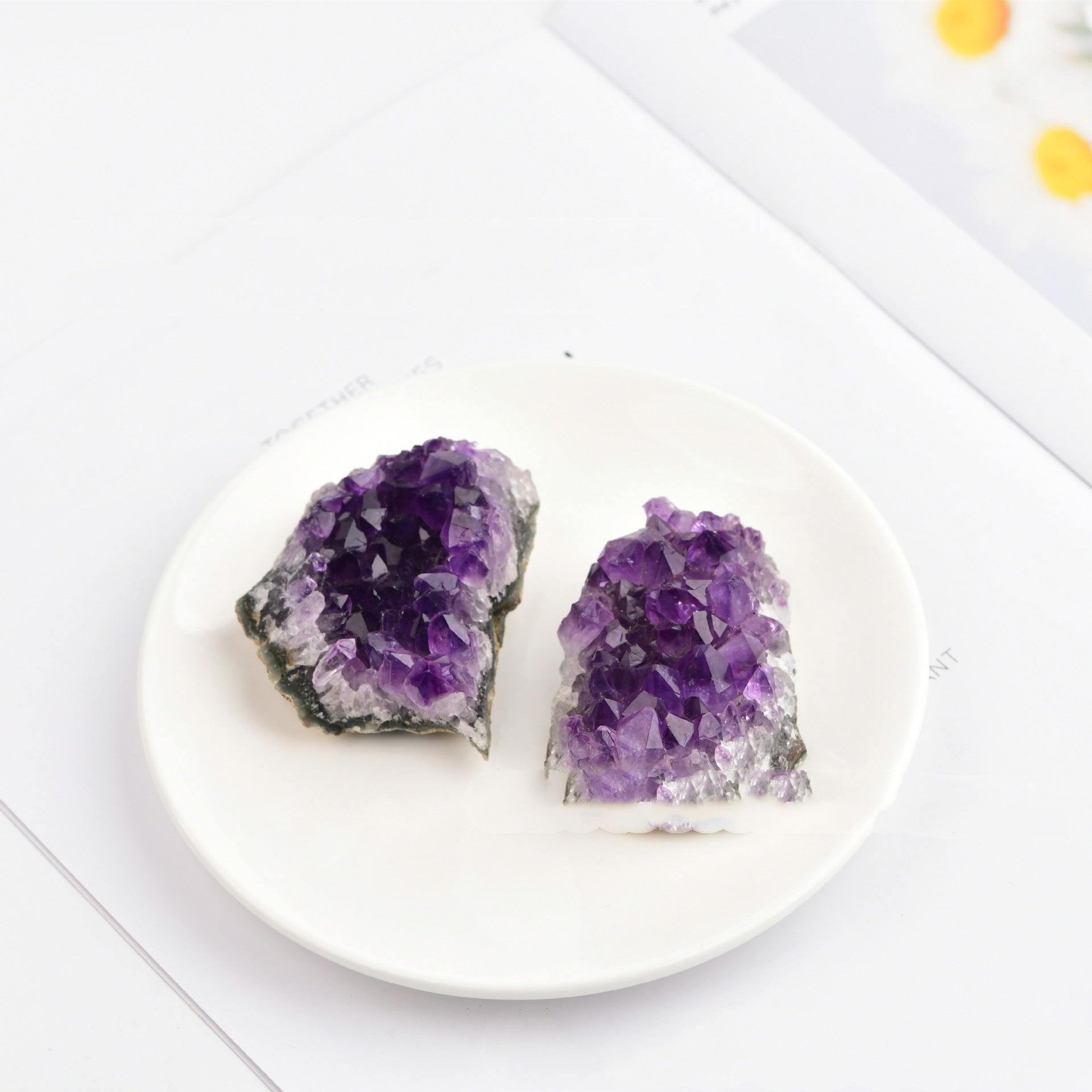 Two purple amethyst crystals on a white plate with a white background